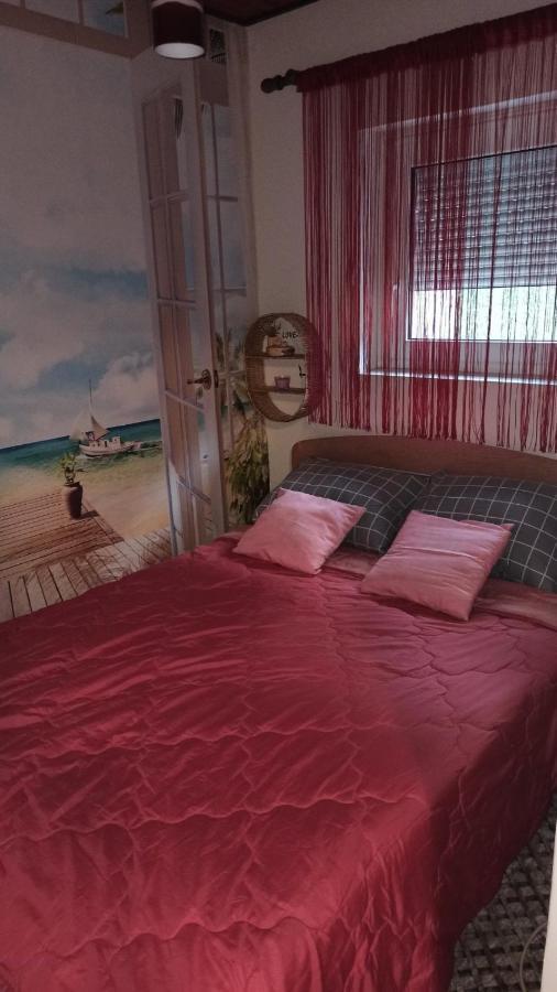 Apartman Palic Libero المظهر الخارجي الصورة
