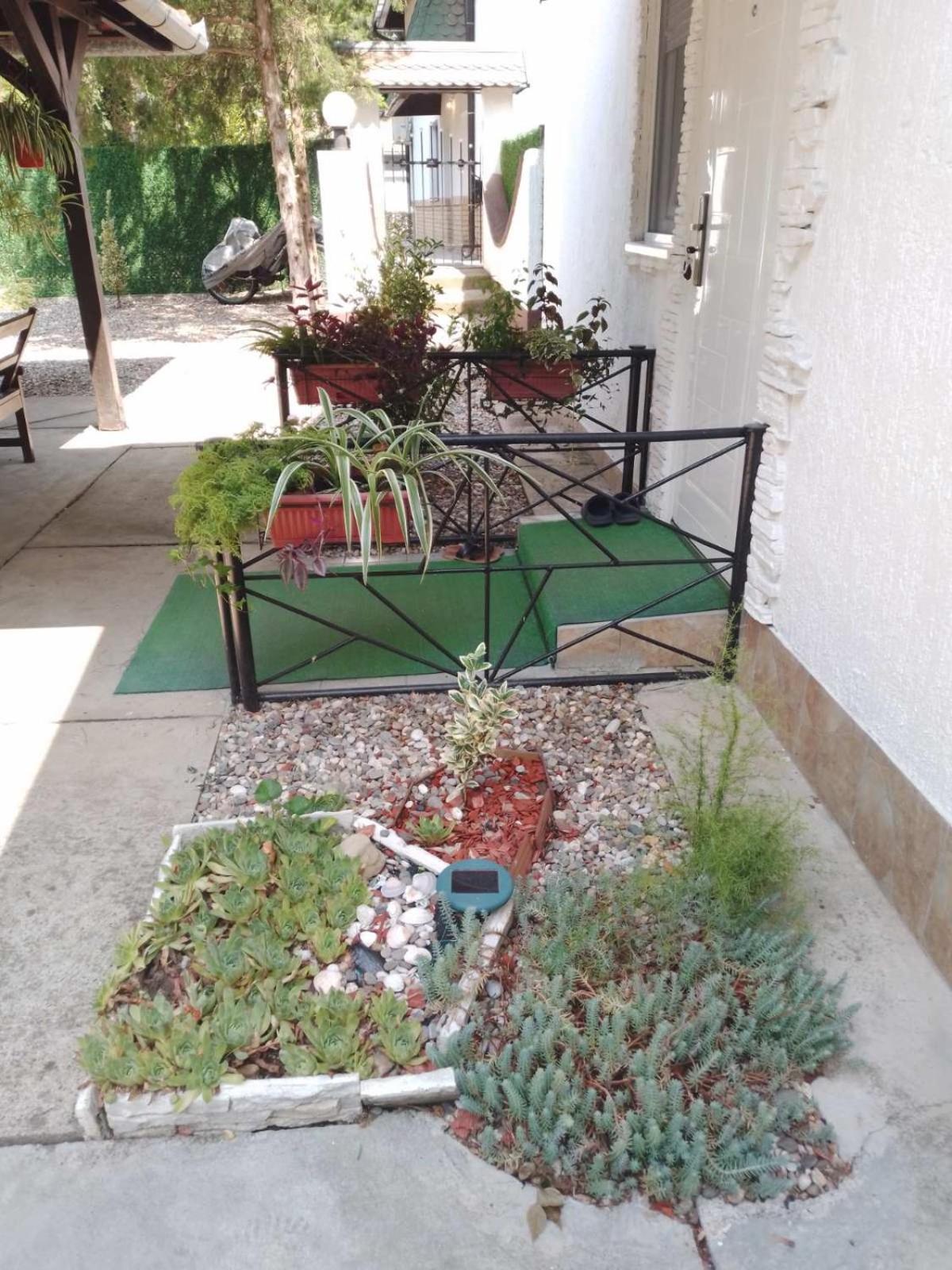 Apartman Palic Libero المظهر الخارجي الصورة